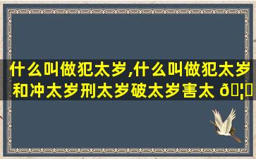什么叫做犯太岁,什么叫做犯太岁和冲太岁刑太岁破太岁害太 🦟 岁
